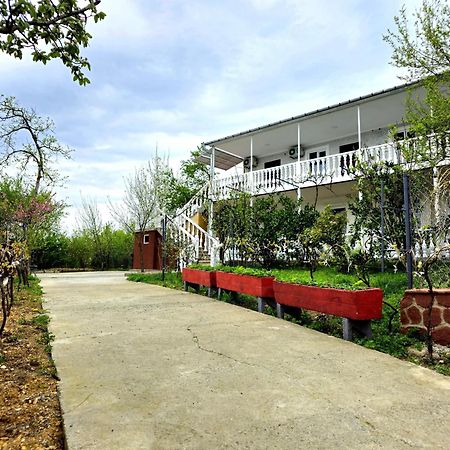 Hilltop Guest House Kutaisi Zewnętrze zdjęcie
