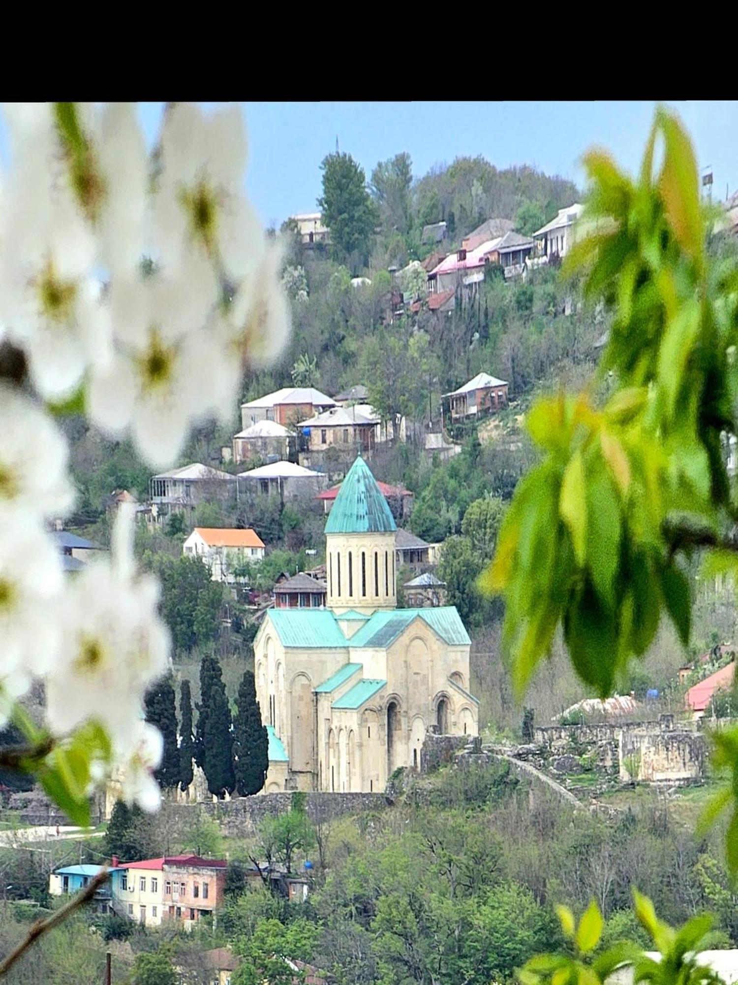 Hilltop Guest House Kutaisi Zewnętrze zdjęcie