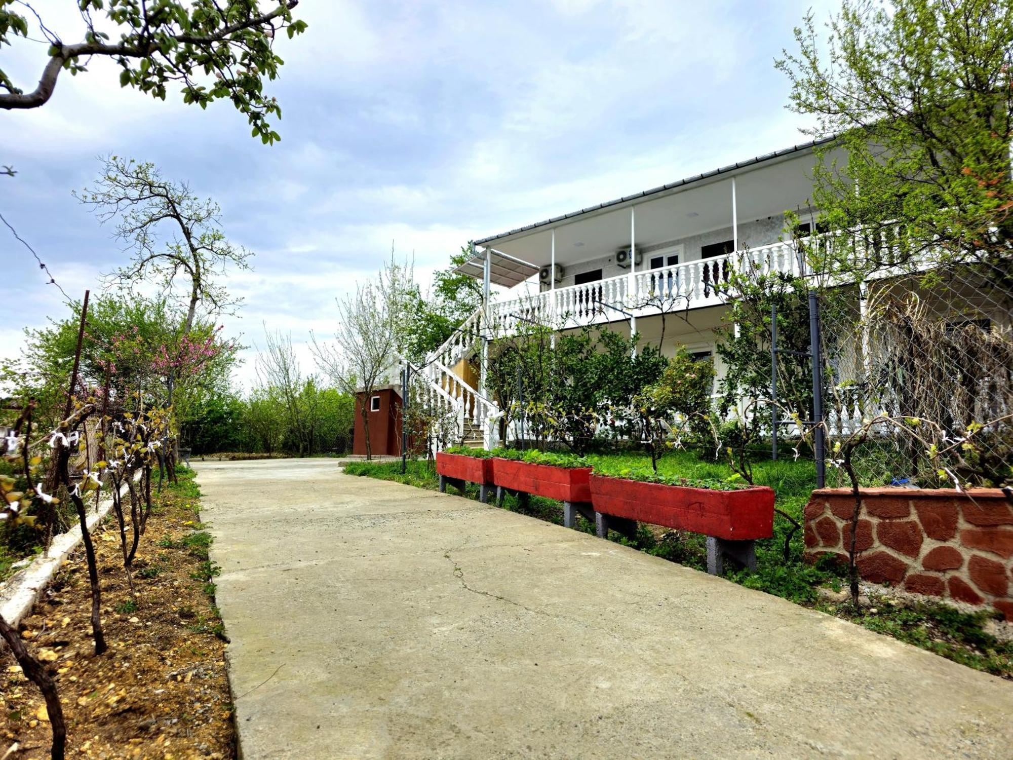 Hilltop Guest House Kutaisi Zewnętrze zdjęcie